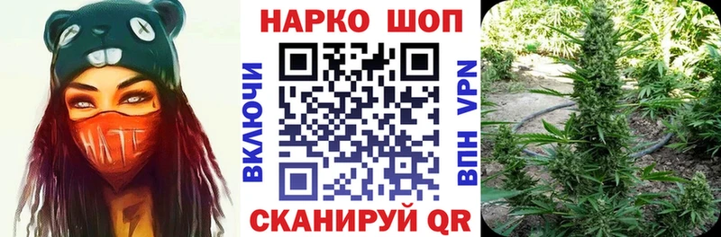 Как найти наркотики Судак ГАШИШ  Псилоцибиновые грибы  Меф мяу мяу 
