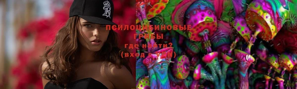 прущая мука Няндома