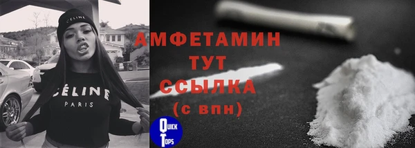 мет Арсеньев