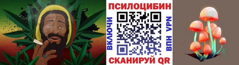 Галлюциногенные грибы GOLDEN TEACHER  Судак 